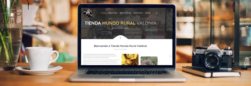 Diseno-de-Paginas-Web