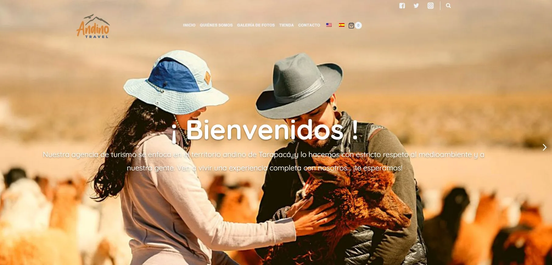 Andino Travel